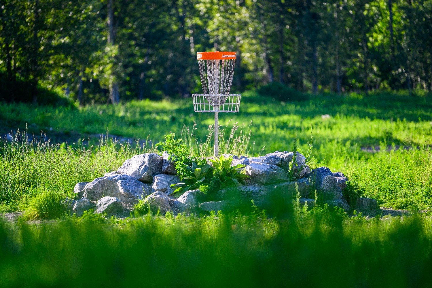 Revelstoke Disc Golf Course