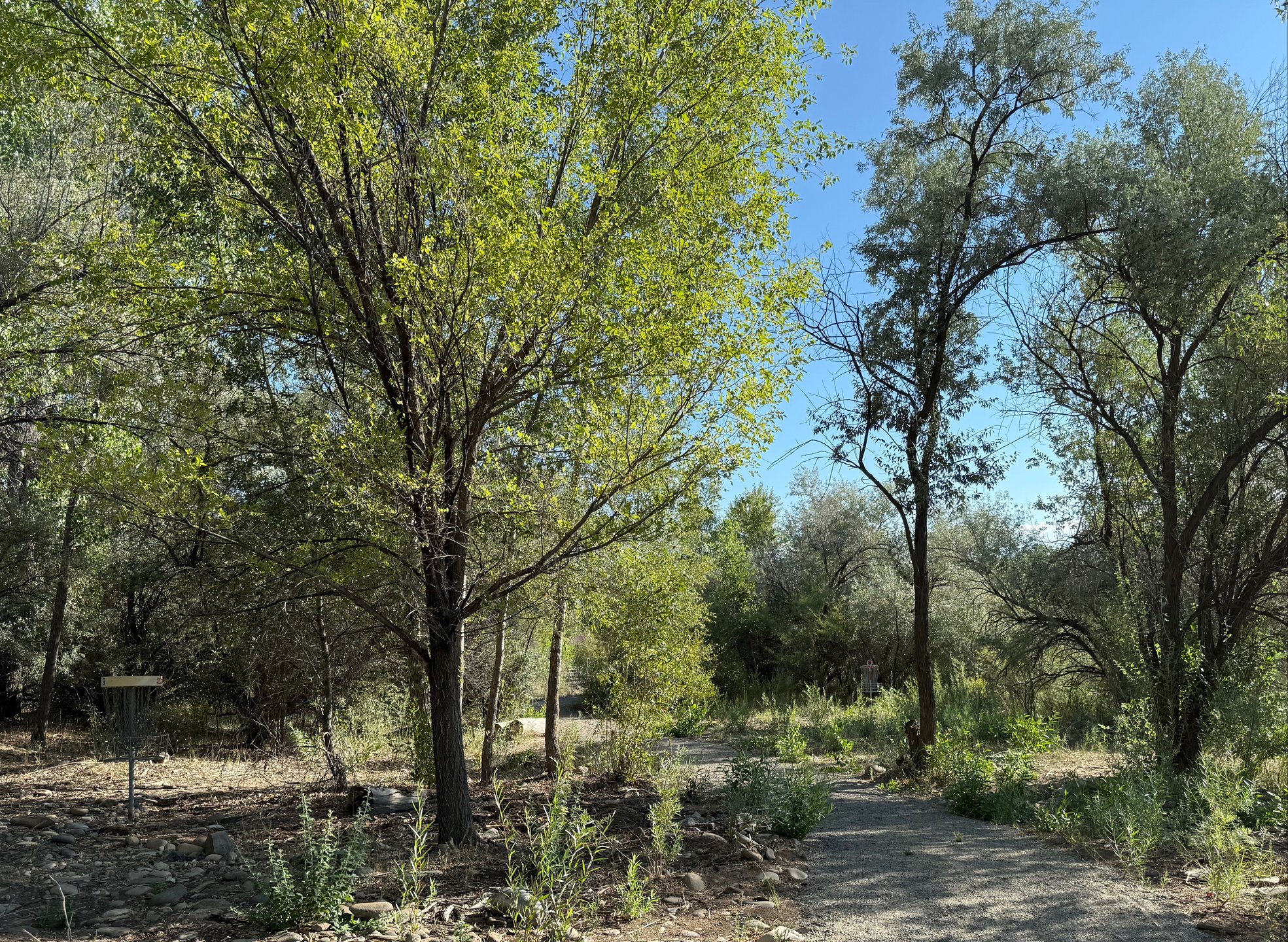 The short and long baskets of hole 9. The short basket is to the left and the long basket is to the right.