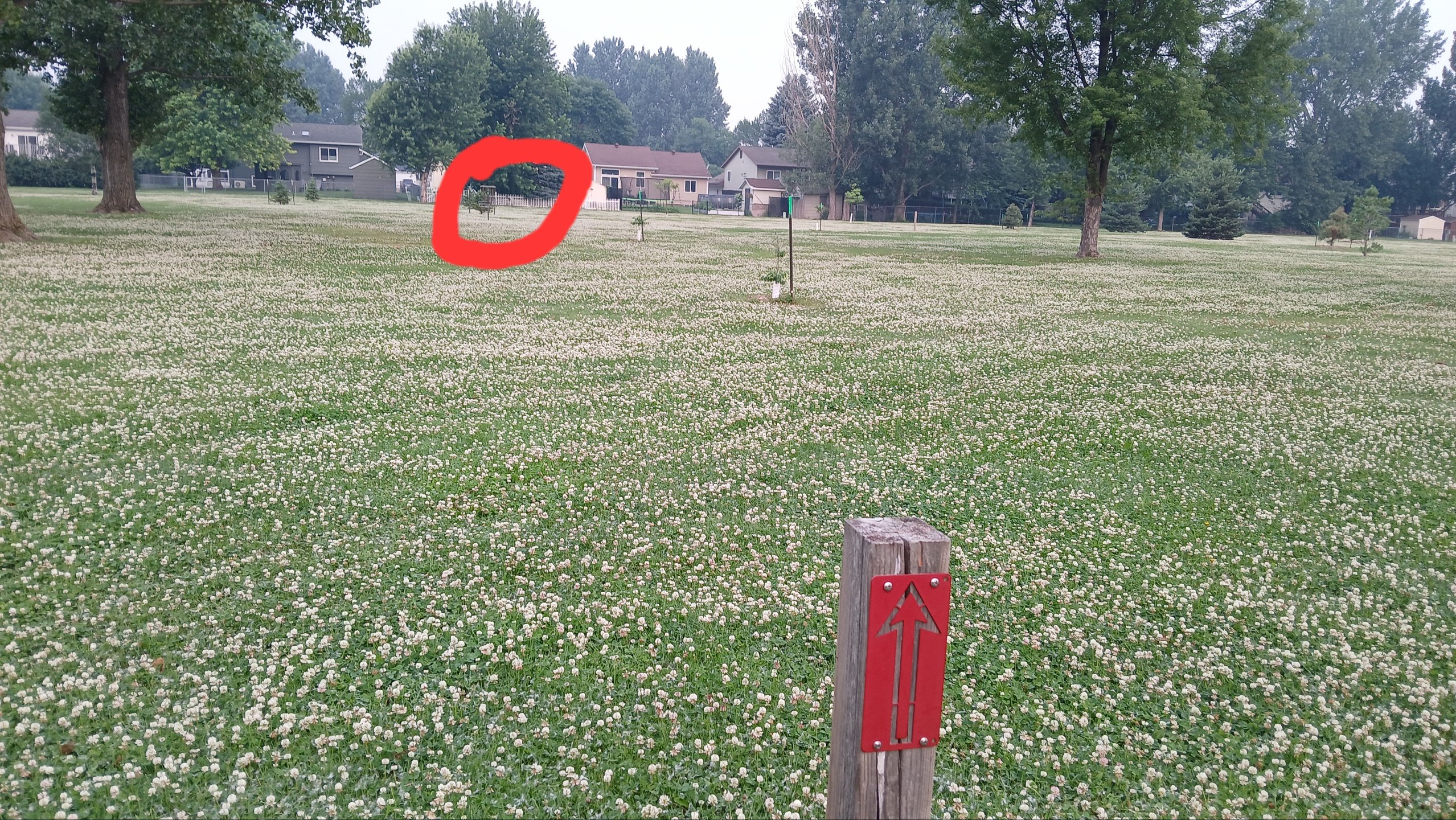 Nice straight shot for #4

138ft