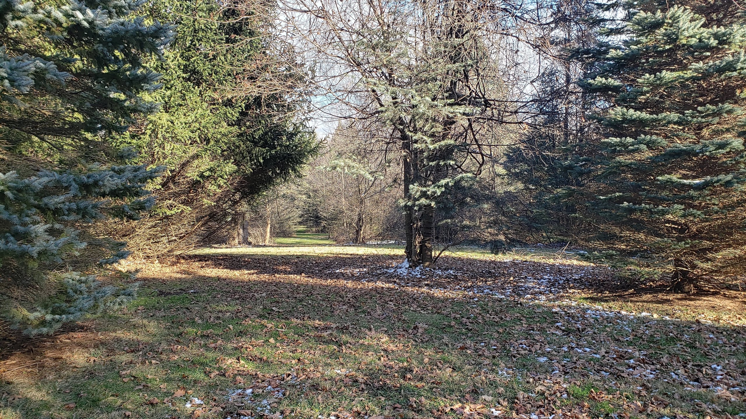 East hole 4 long tee