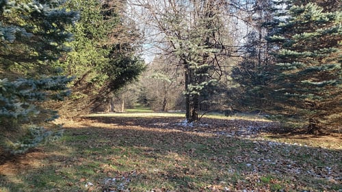 East hole 4 long tee