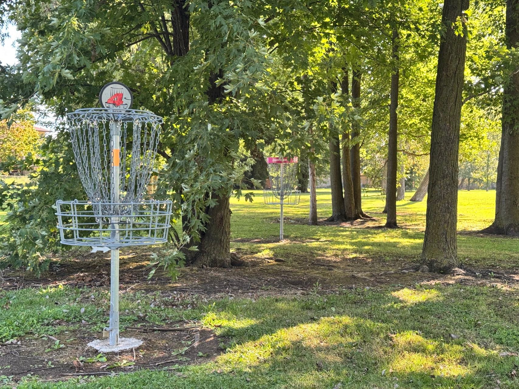 Silver Basket