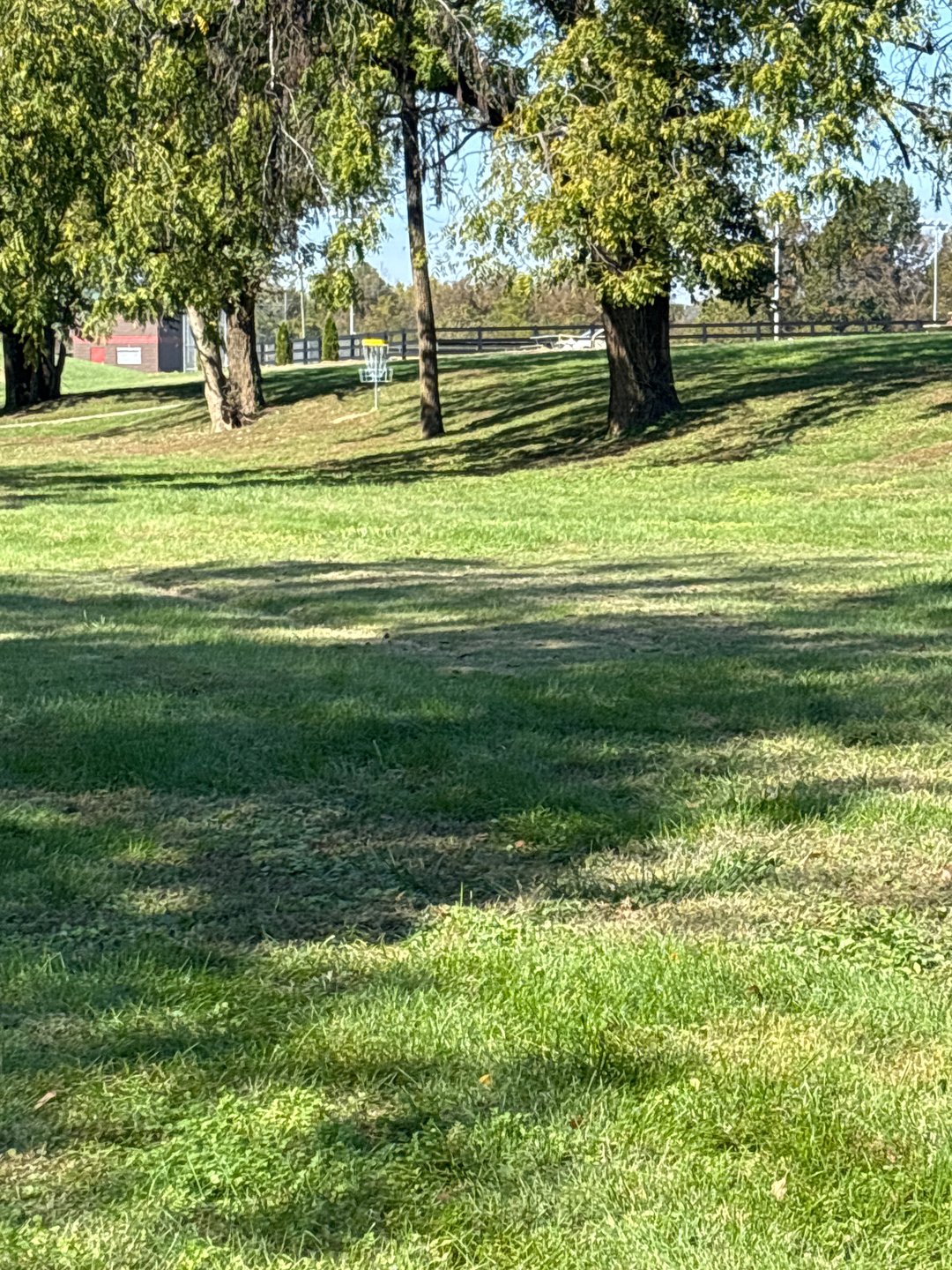 Hole 3 green