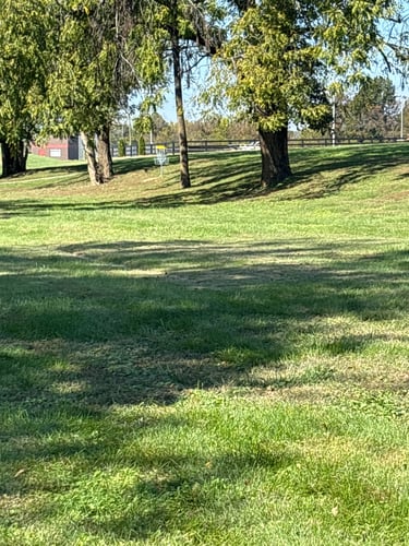 Hole 3 green