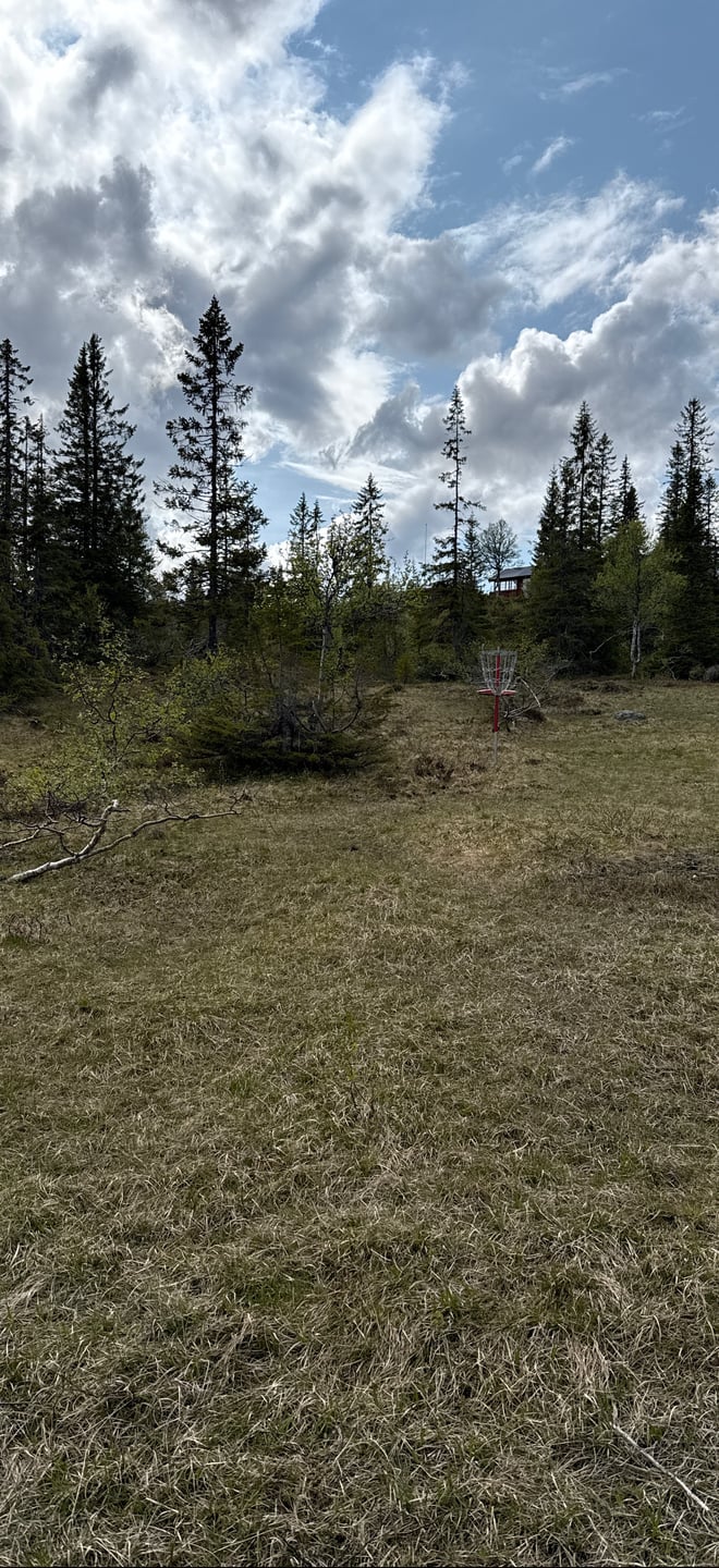 Kurv fra camp