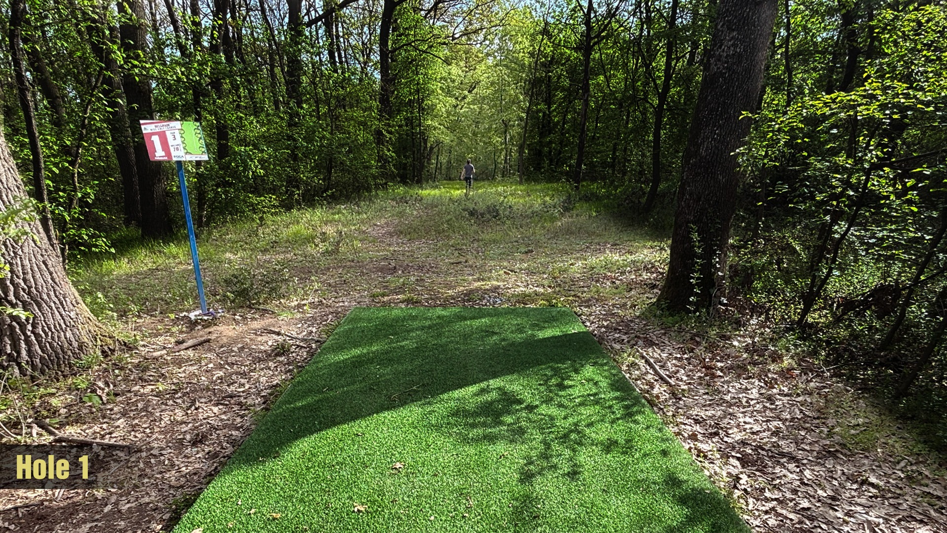 Tee 1