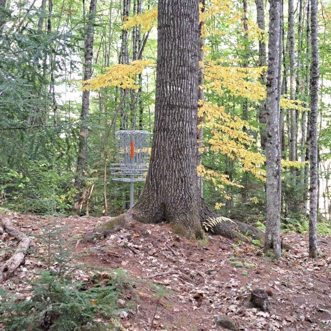 Hole 5 from trail to 6