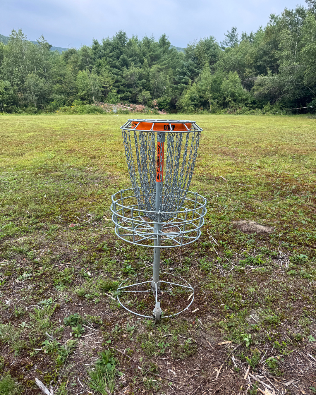 Hole 10 basket