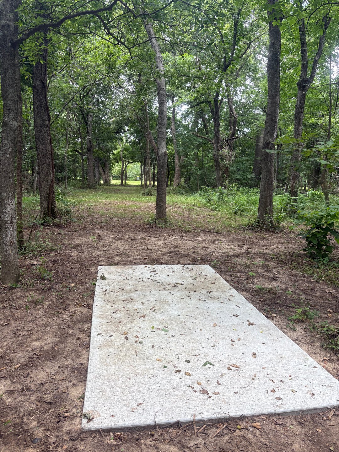 As if hitting this line isn't hard enough, someone planted a tree in front of the teepad.  haha! 