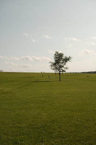 Hole 1 from Grass Tee