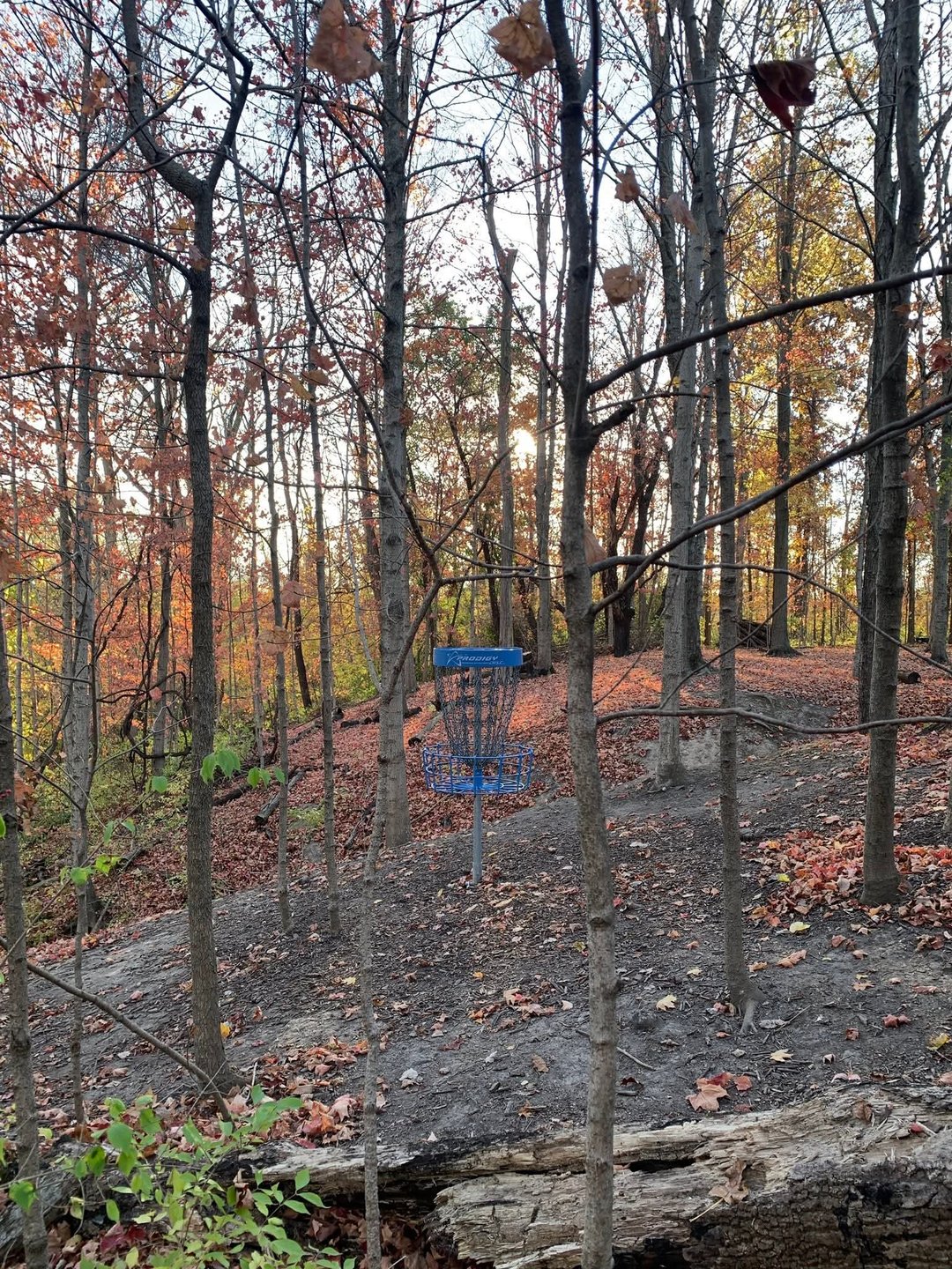 Taken by Austin Fast.