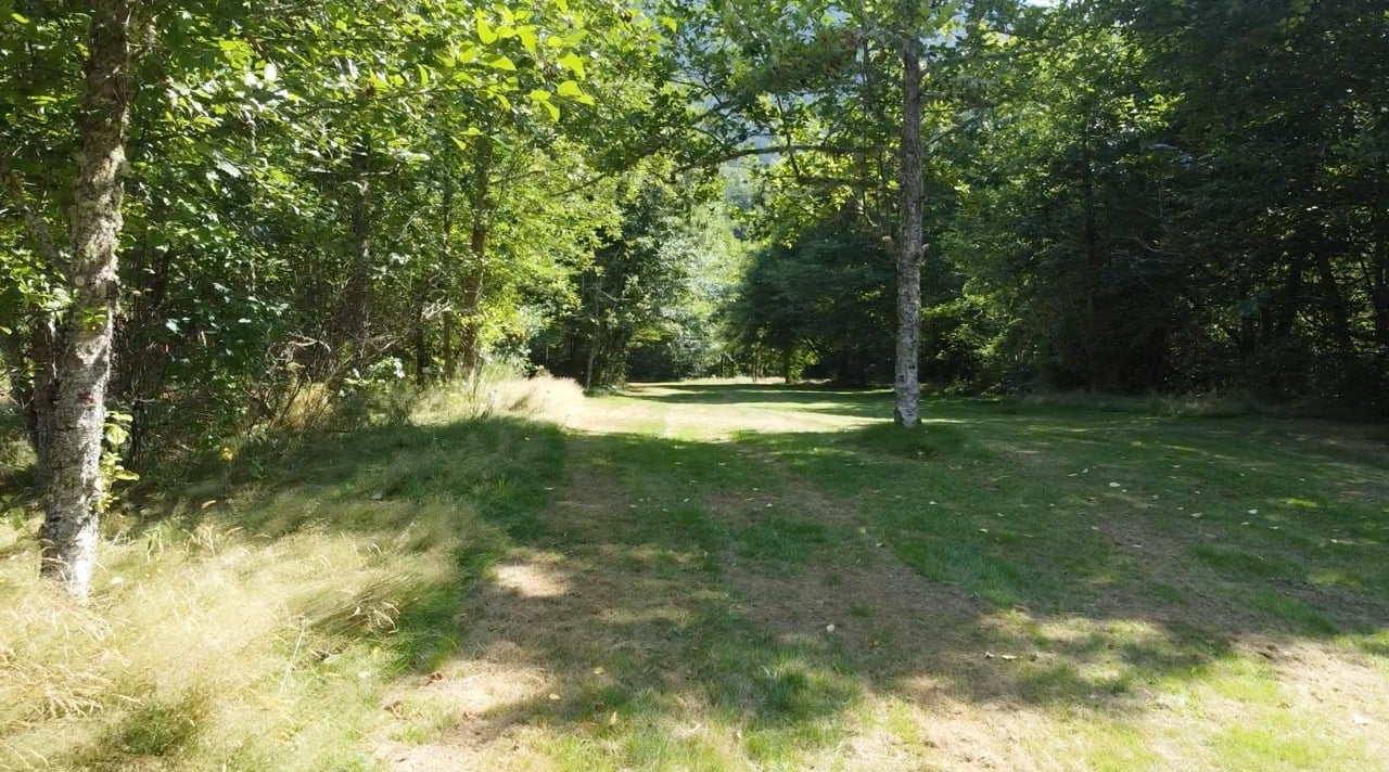 Hole 12 fairway