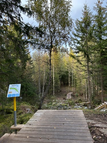 Course photo