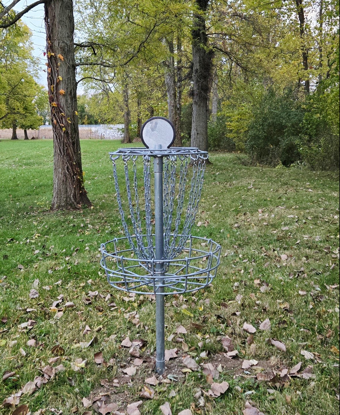 Hole 4 looking back towards the tees