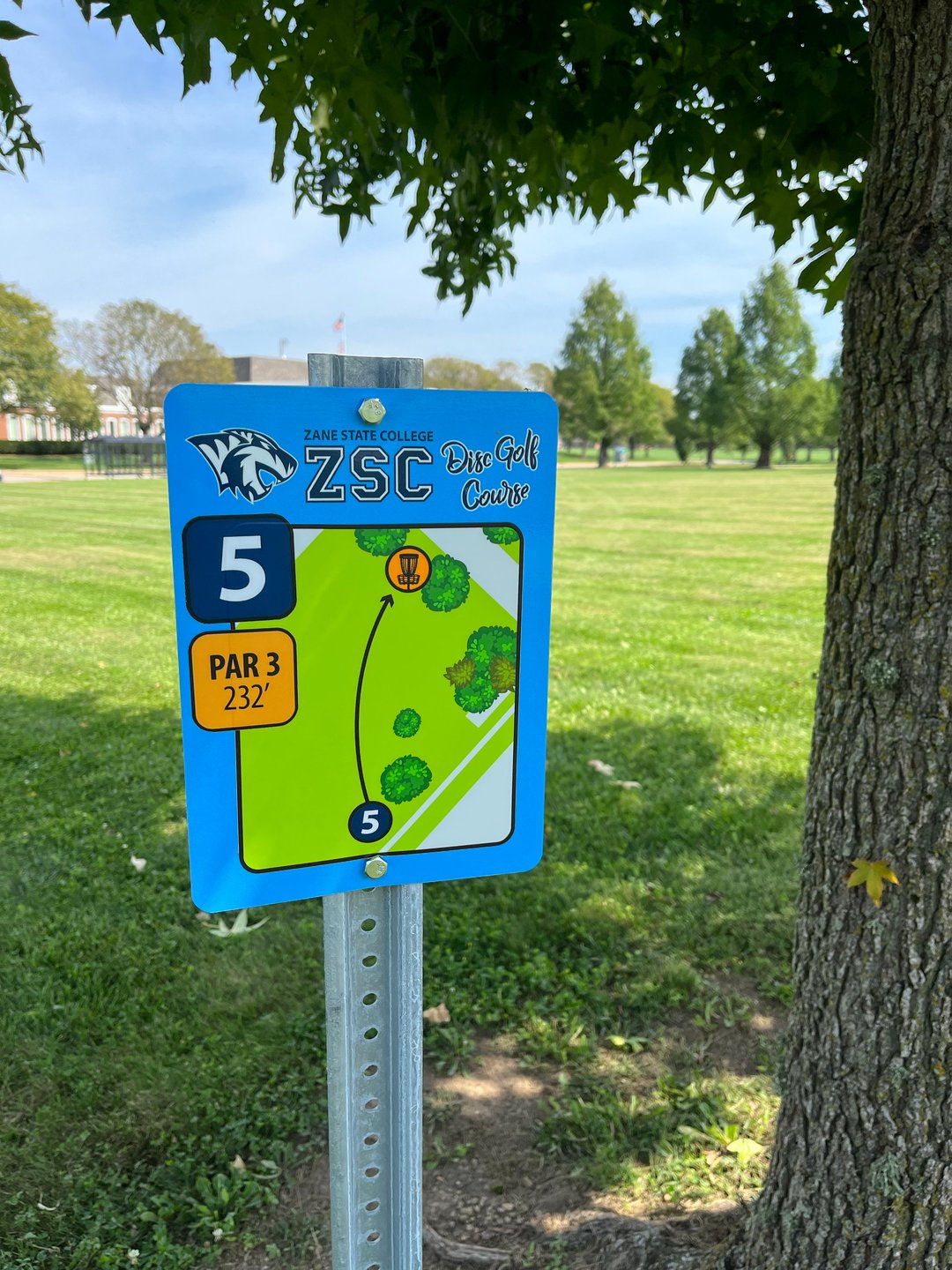 Hole 5 tee pad