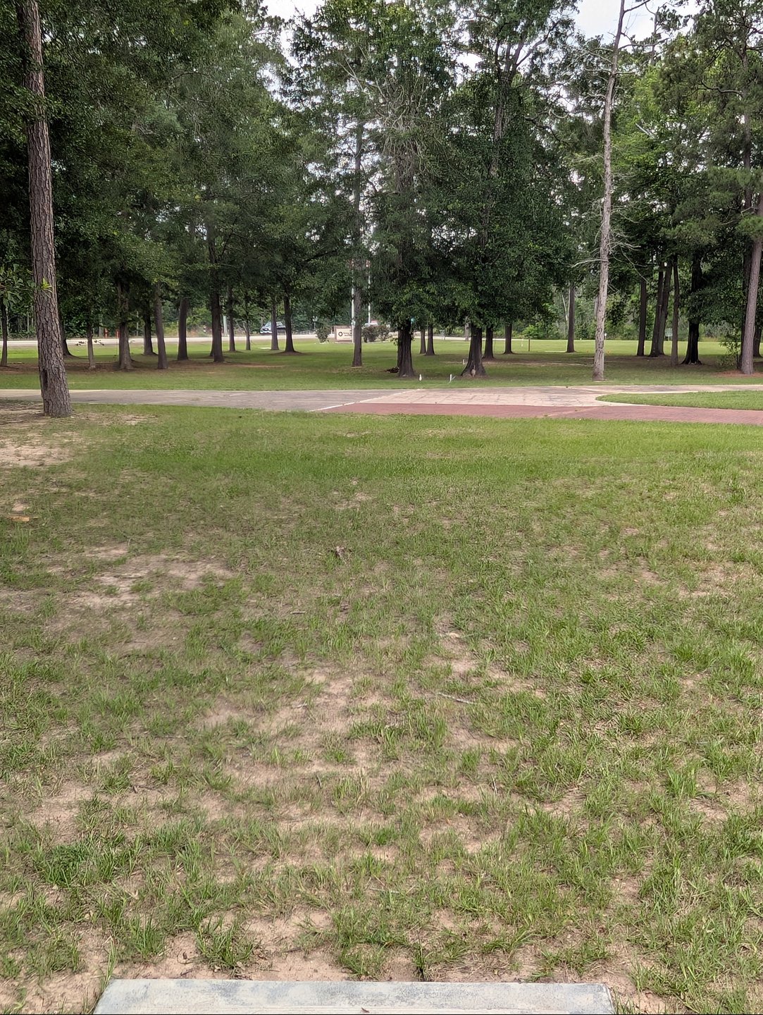 Hole 5's Alt Tee