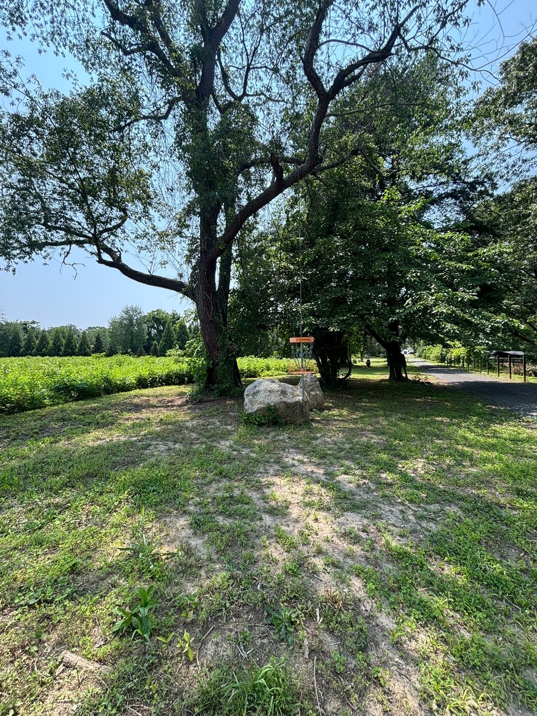 Alternate pin location for hole 2, roughly 120 ft past the main target.