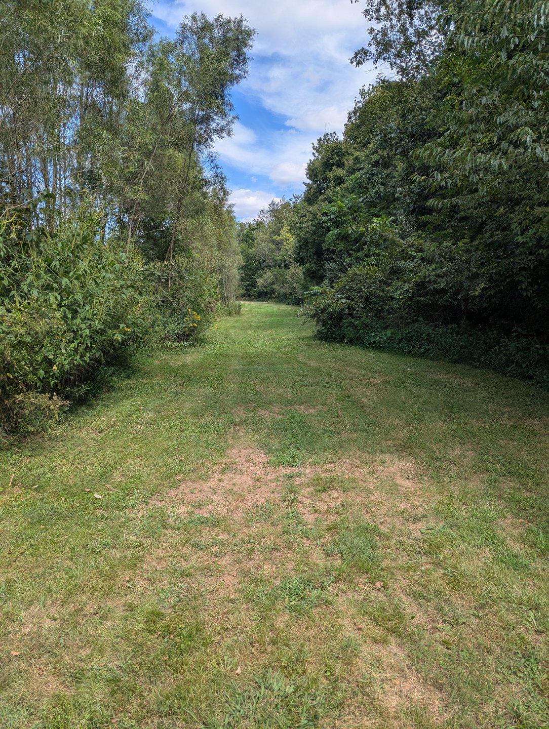 Halfway up 2's fairway