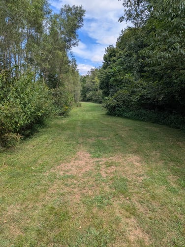 Halfway up 2's fairway