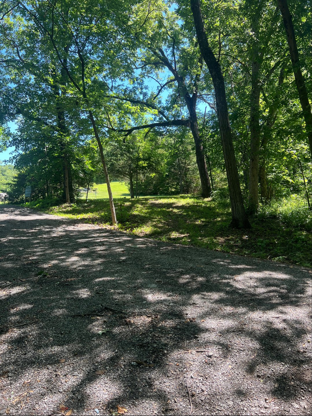 Hole #6 standing on tee pad facing fairway 