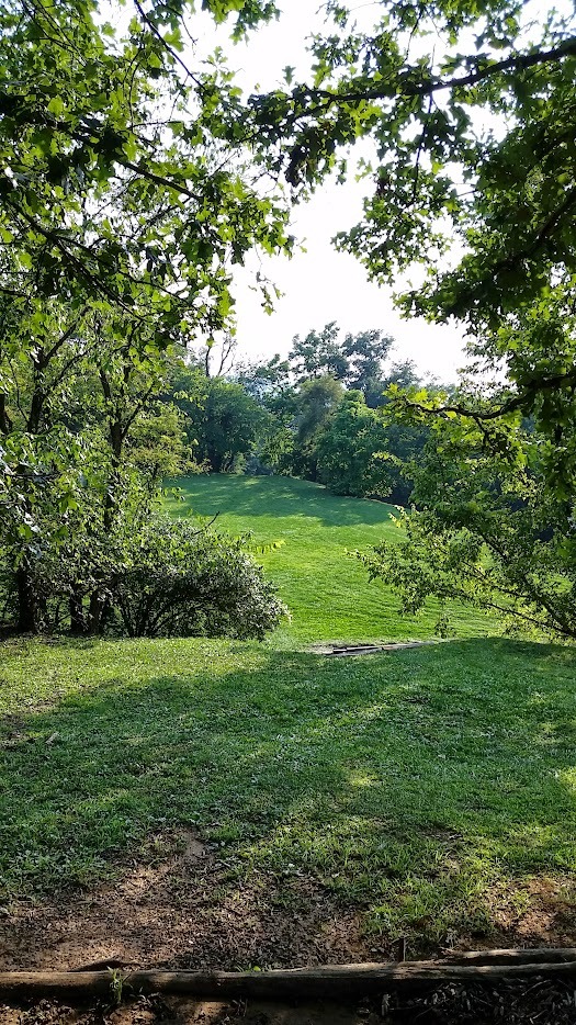 Older photo of six from the short tees.  The fairway has a wooden bike course on it now.  Basket can be in three different positions.