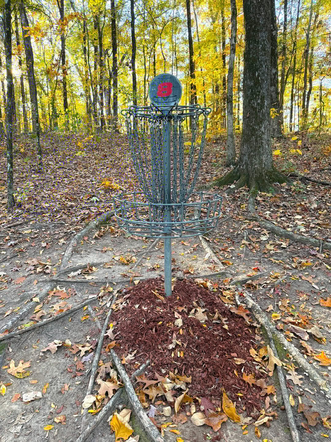 Hole 8 Basket