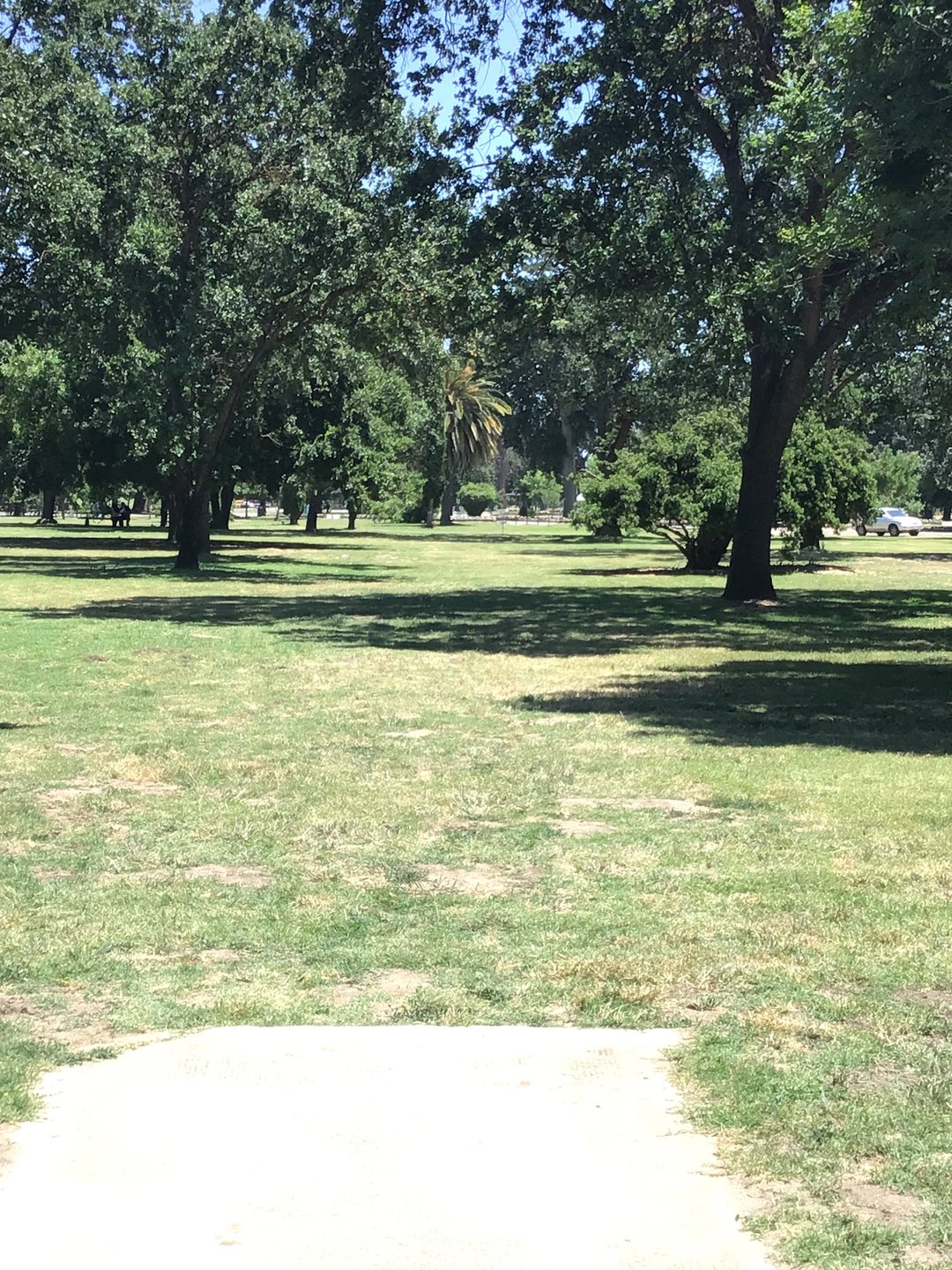 Hole 15