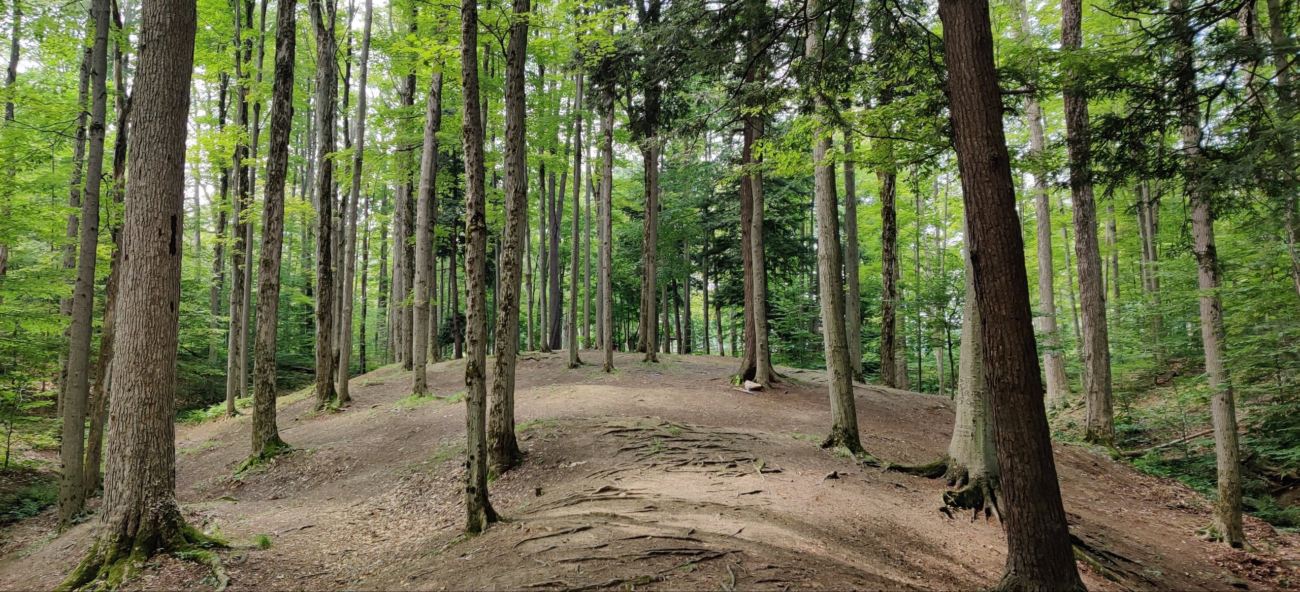 Hole 7 from red tee
