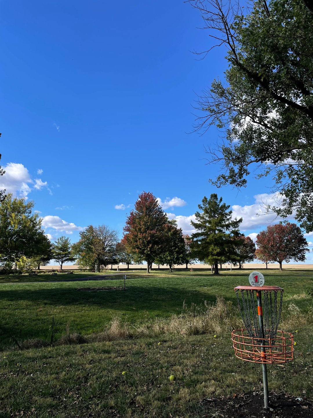 Basket of hole 1