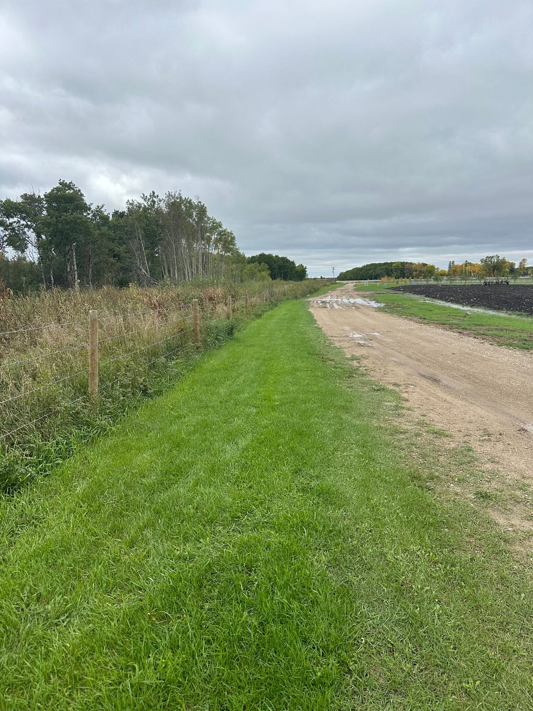 Hole 6: Gravel round and beyond fence is out of bounds. 

For safety take a 2 metre relief from barbed wire fence. 