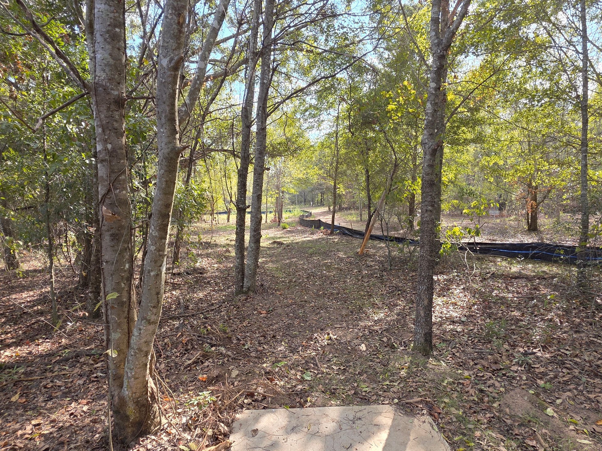 Hole 10's tee and fairway. Construction to the left of the hole requires silt fence to be cutting through the fairway.