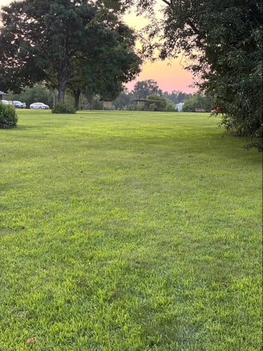 #3 Fairway