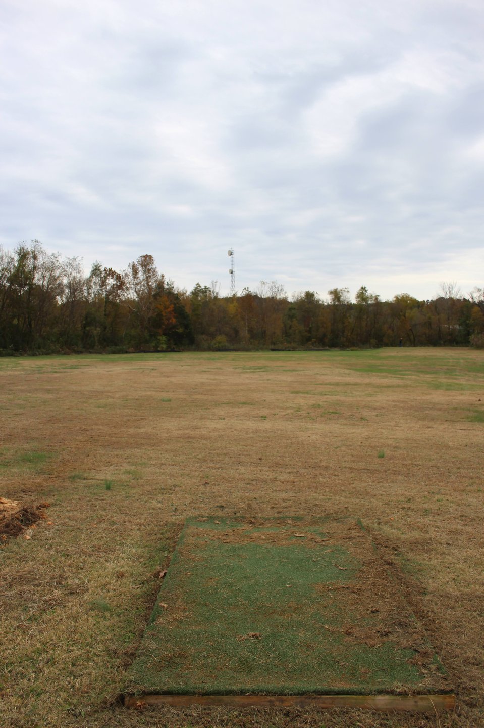 View from the driving range. You have approximately 400-420 feet to the back wall where the silk fence is. 