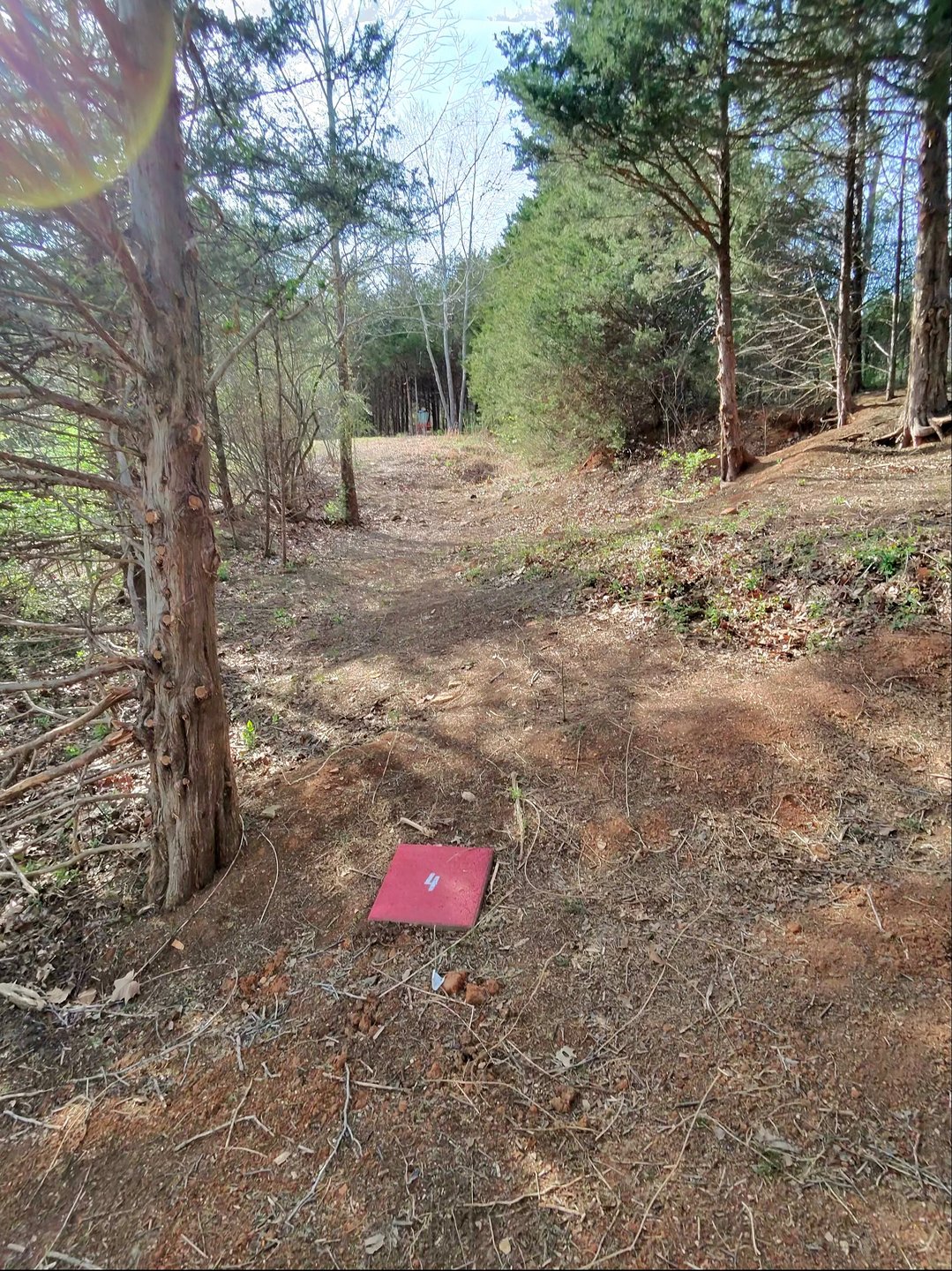 Hole 4 Red
