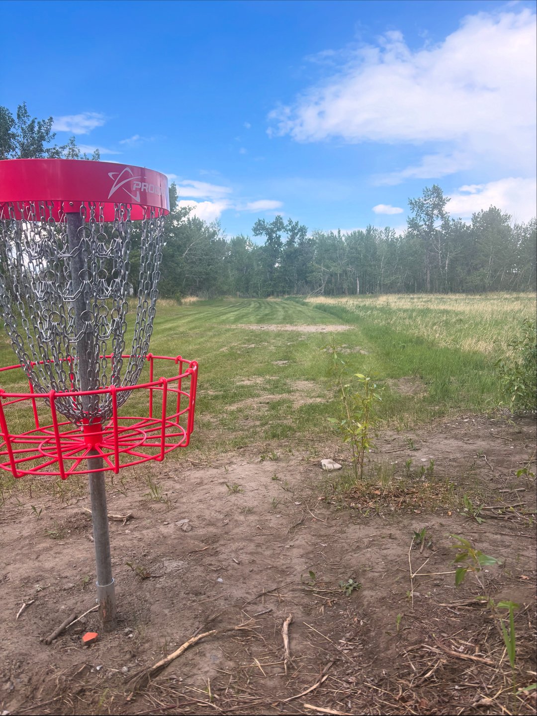 Hole 8 fairway and basket