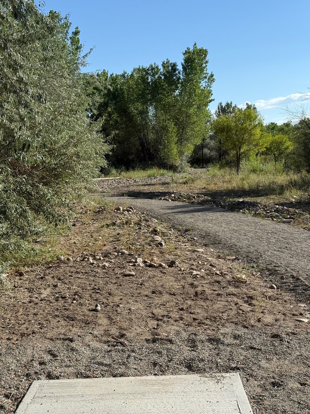 The view from the tee pad of hole 9. Aim up the right side gap along the path.
