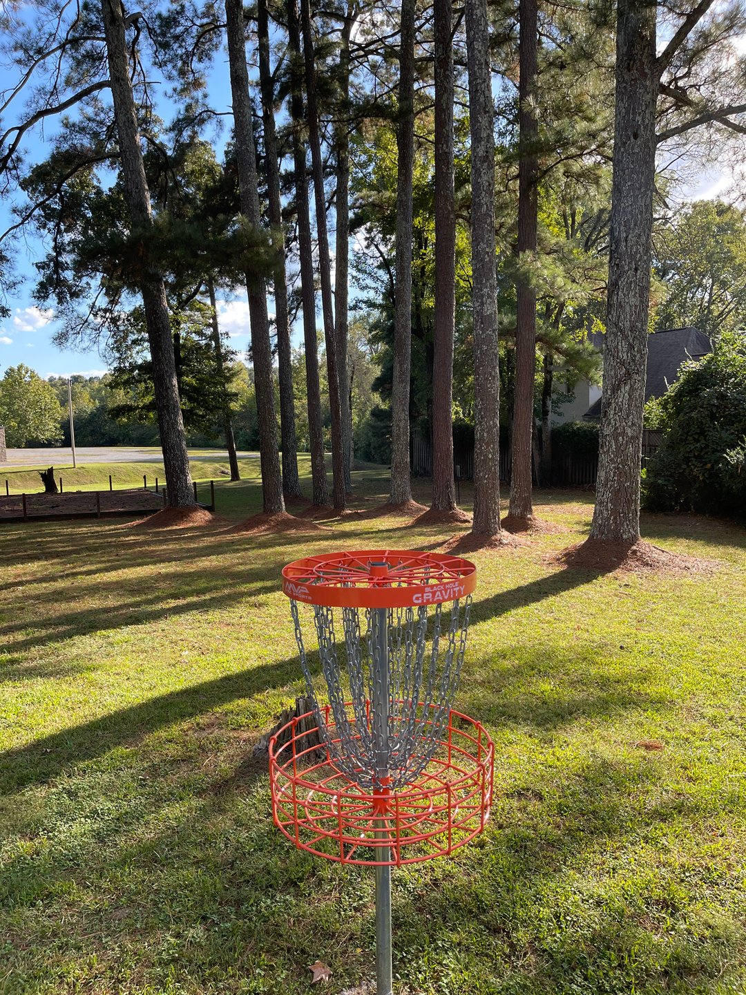 looking back to tee