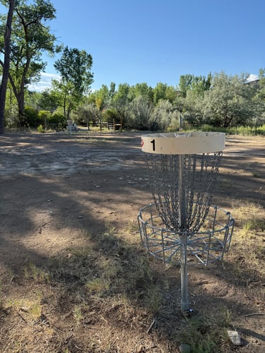 The short basket (Innova) and the long basket (Mach 7) of hole 1 on the new course.