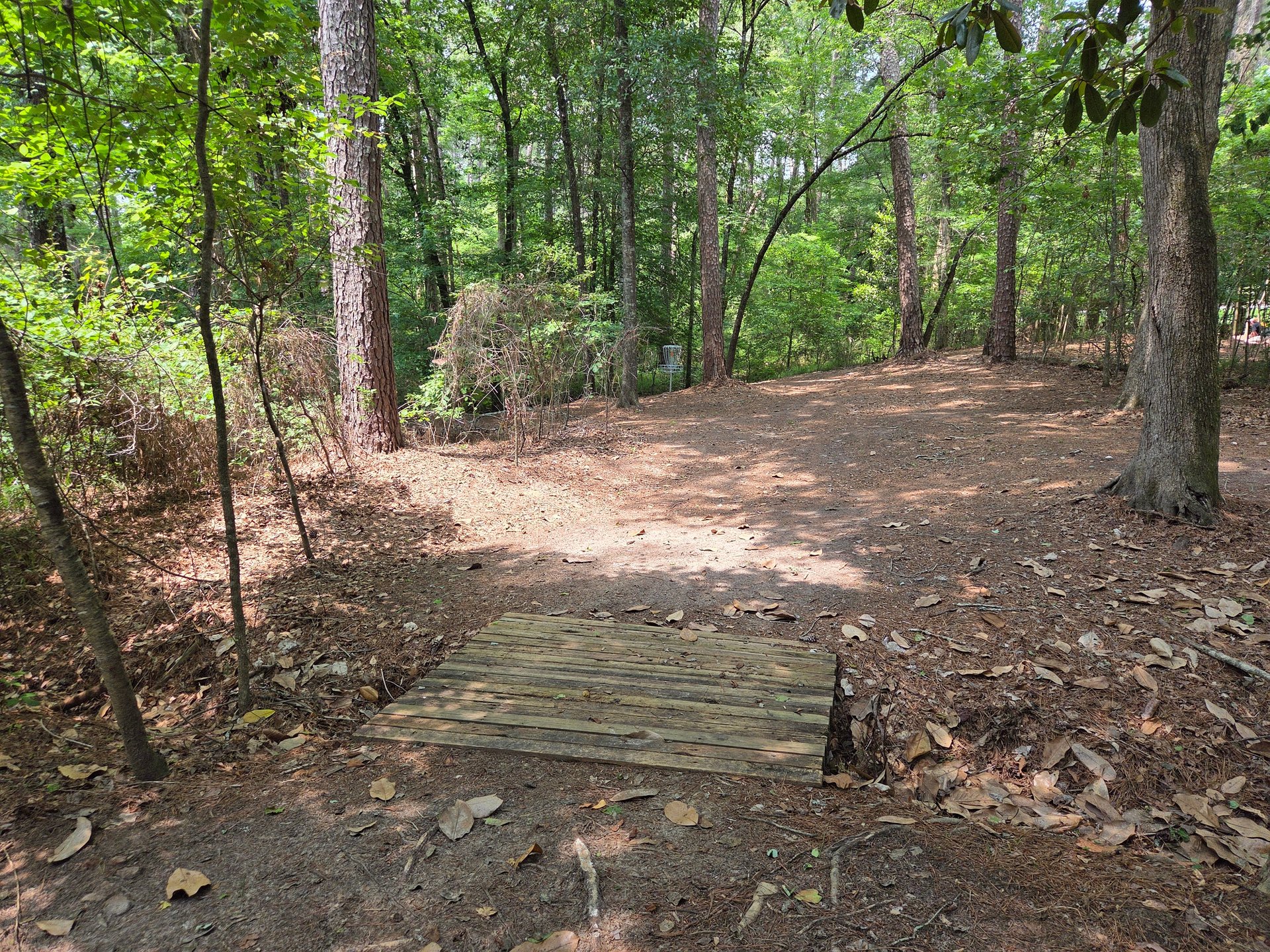 Bridge to basket #3.