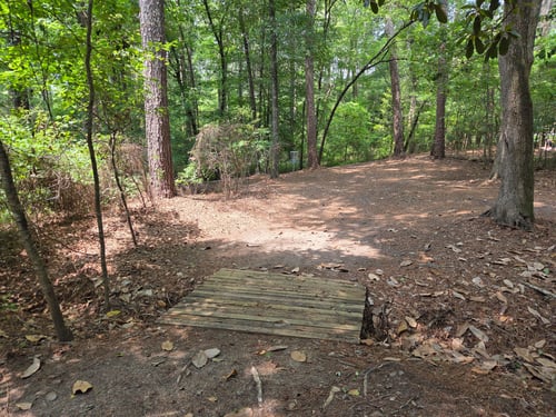 Bridge to basket #3.