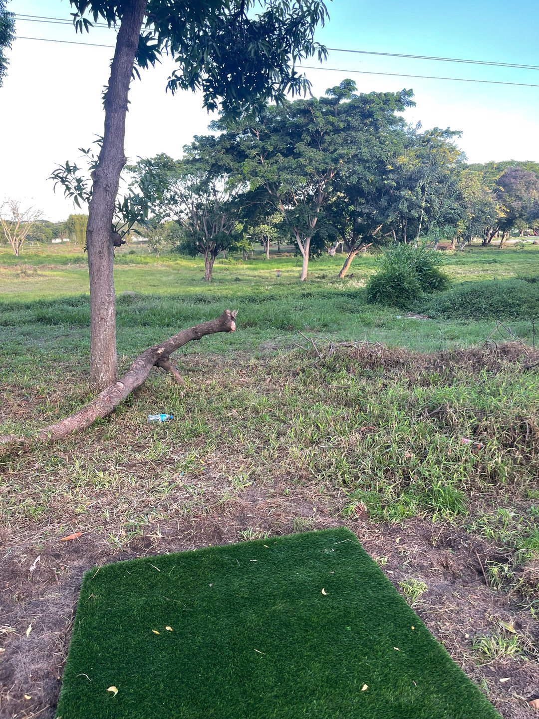 Hole 16 Long Pad