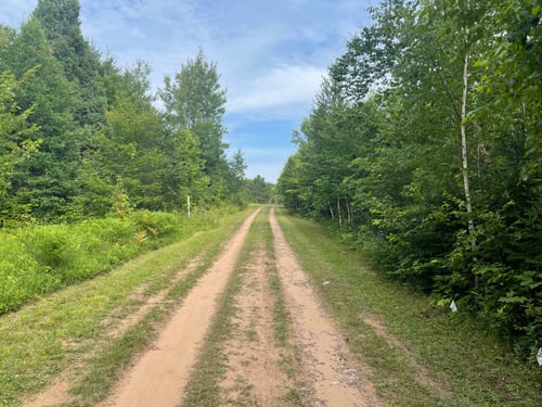 Approach view as you enter course and 1st basket 