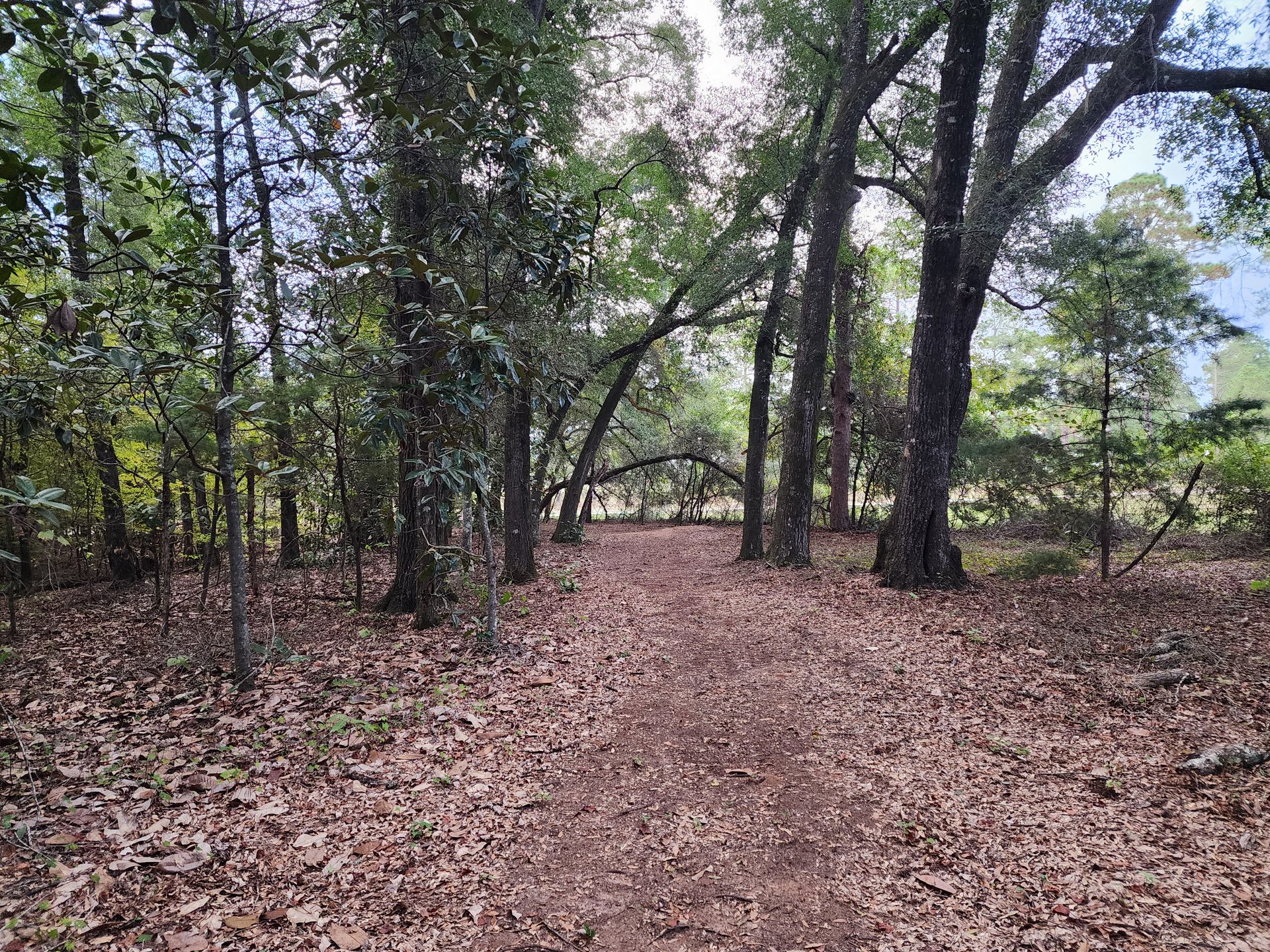 Fairway view of 9