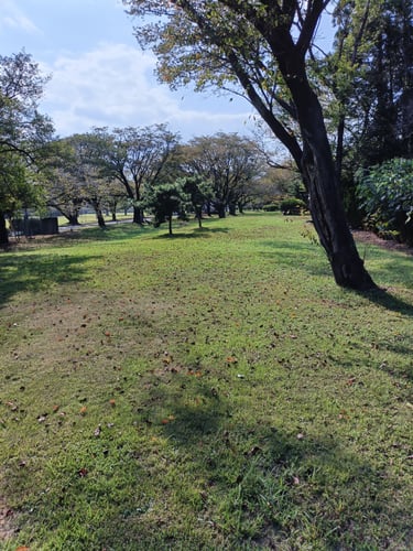 Hole 3