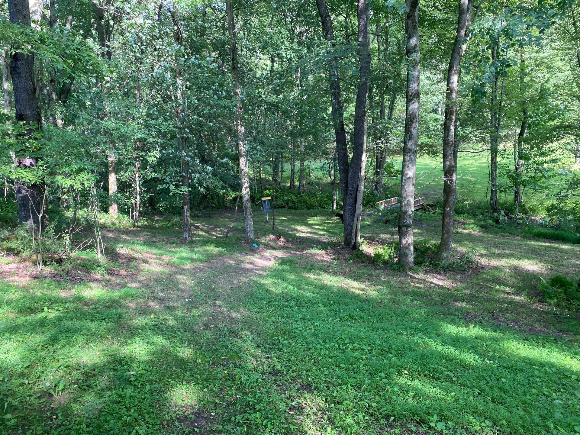 Stream  OB beyond basket