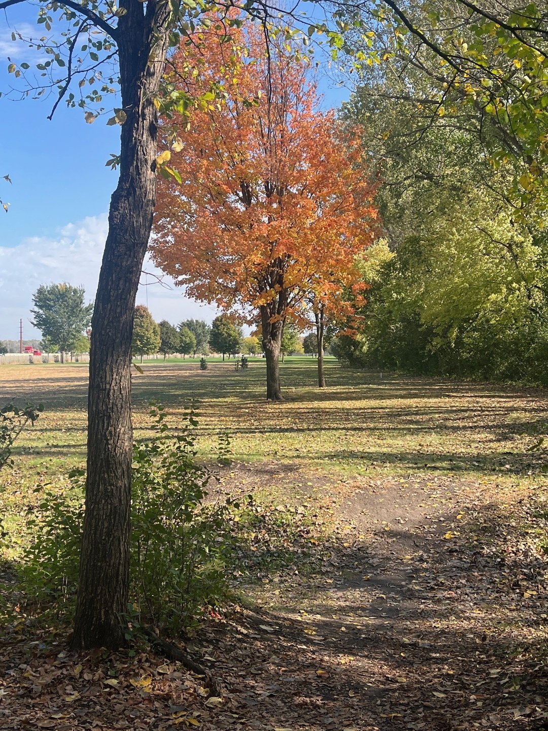 17 Fairway
