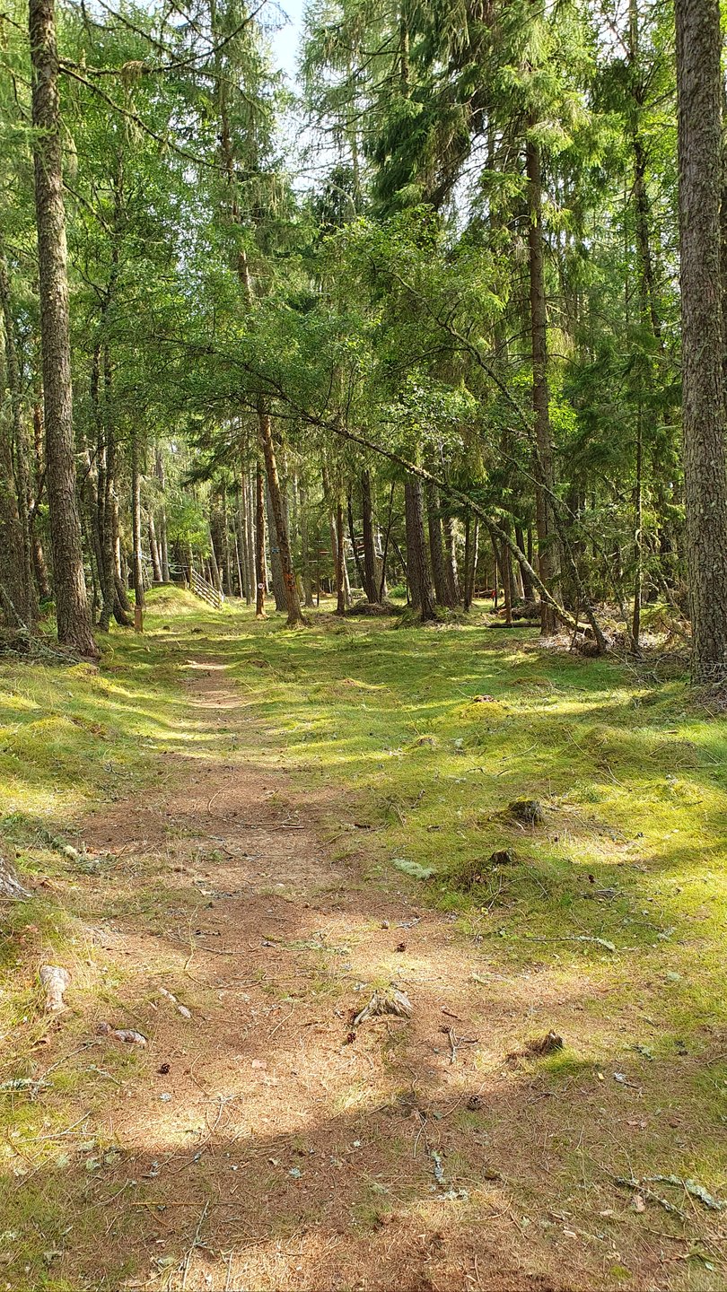 Hole #8 - Ace Outback