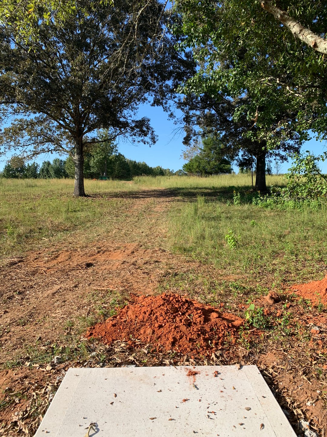 Hole 4 - Gold Tee Pad (under construction)