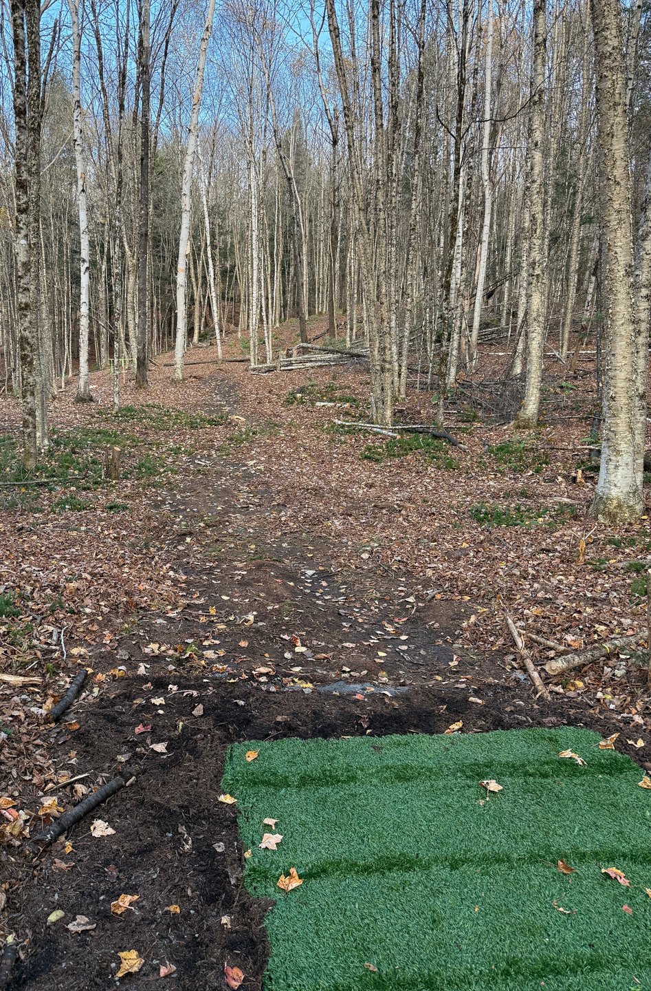 8 from the blue tee.  Dogleg right, up the hill a bit.