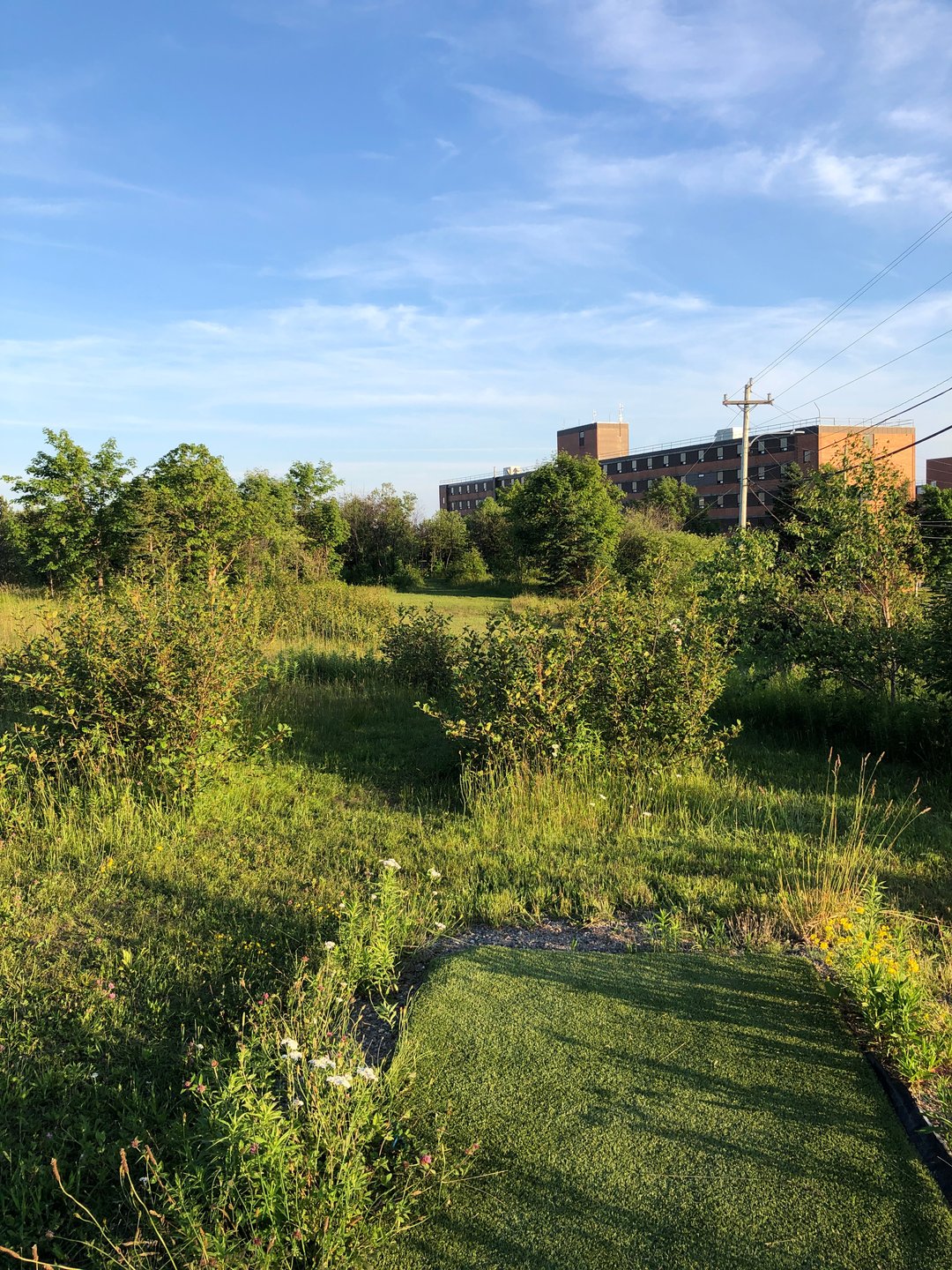 Hole 6 from blue tee